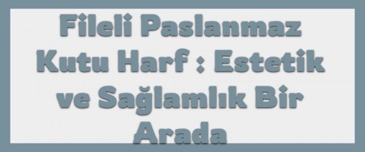 Fileli Paslanmaz Kutu Harf: Estetik ve Sağlamlık Bir Arada